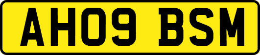 AH09BSM