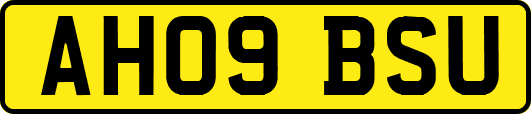 AH09BSU