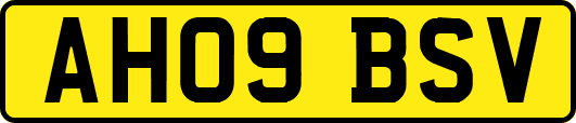 AH09BSV