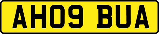 AH09BUA