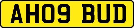 AH09BUD
