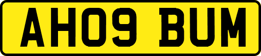 AH09BUM