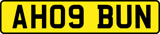 AH09BUN