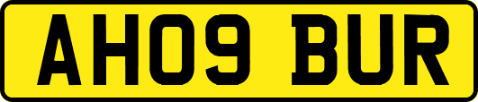 AH09BUR