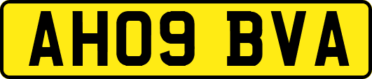 AH09BVA