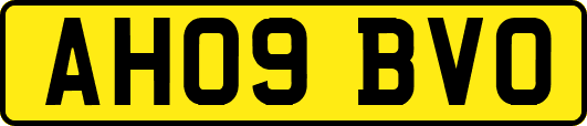 AH09BVO