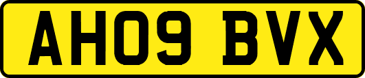AH09BVX