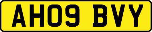 AH09BVY