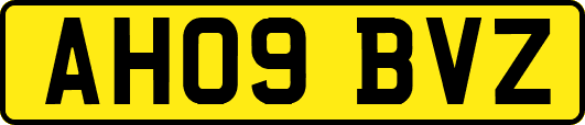 AH09BVZ