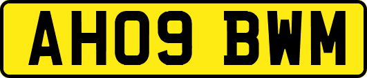 AH09BWM