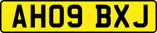 AH09BXJ