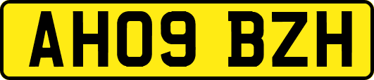 AH09BZH