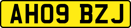 AH09BZJ