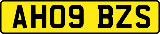 AH09BZS