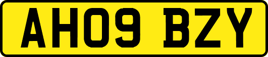 AH09BZY