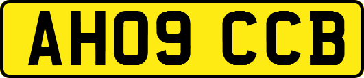 AH09CCB