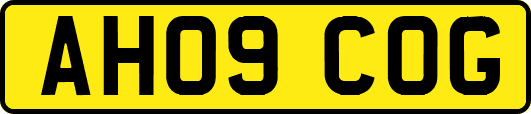 AH09COG