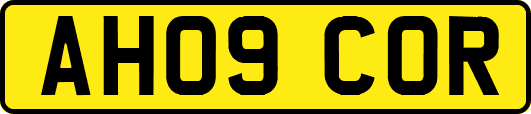 AH09COR