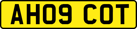 AH09COT