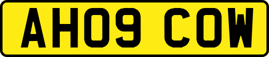 AH09COW