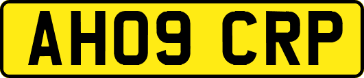 AH09CRP