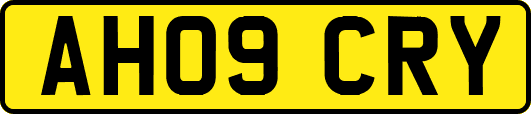 AH09CRY