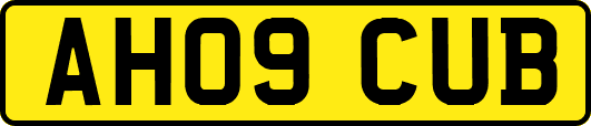 AH09CUB