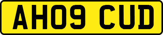 AH09CUD
