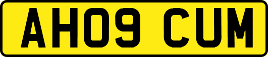 AH09CUM