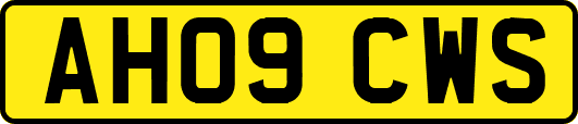 AH09CWS