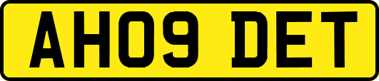 AH09DET
