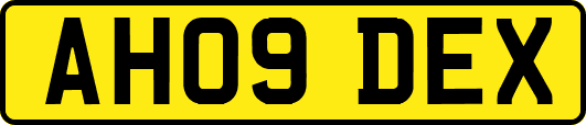 AH09DEX