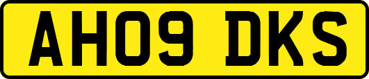 AH09DKS