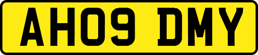 AH09DMY