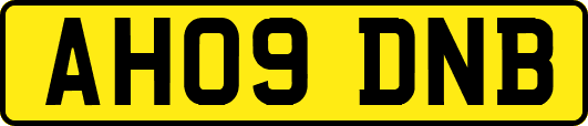 AH09DNB