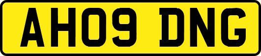 AH09DNG
