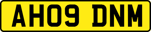 AH09DNM