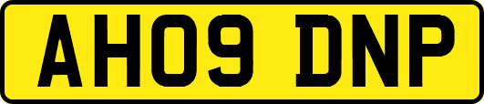 AH09DNP