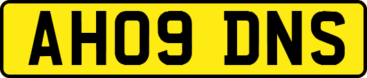 AH09DNS