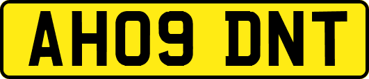 AH09DNT