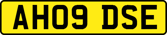 AH09DSE