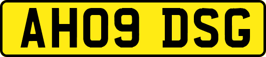 AH09DSG