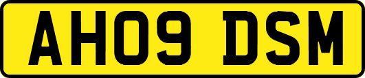 AH09DSM