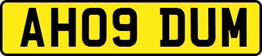 AH09DUM