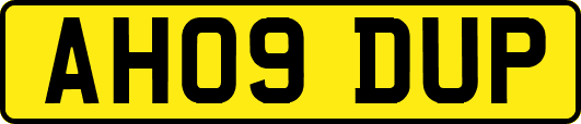 AH09DUP