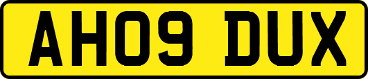 AH09DUX
