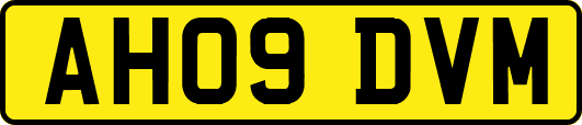 AH09DVM
