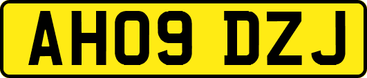 AH09DZJ