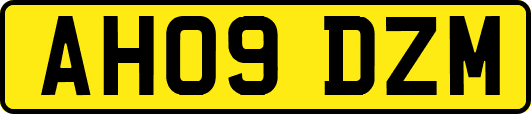 AH09DZM