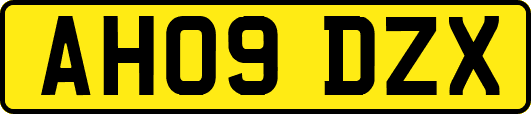 AH09DZX